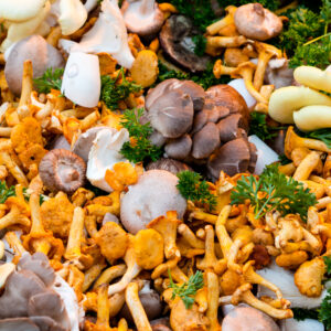 Champignons